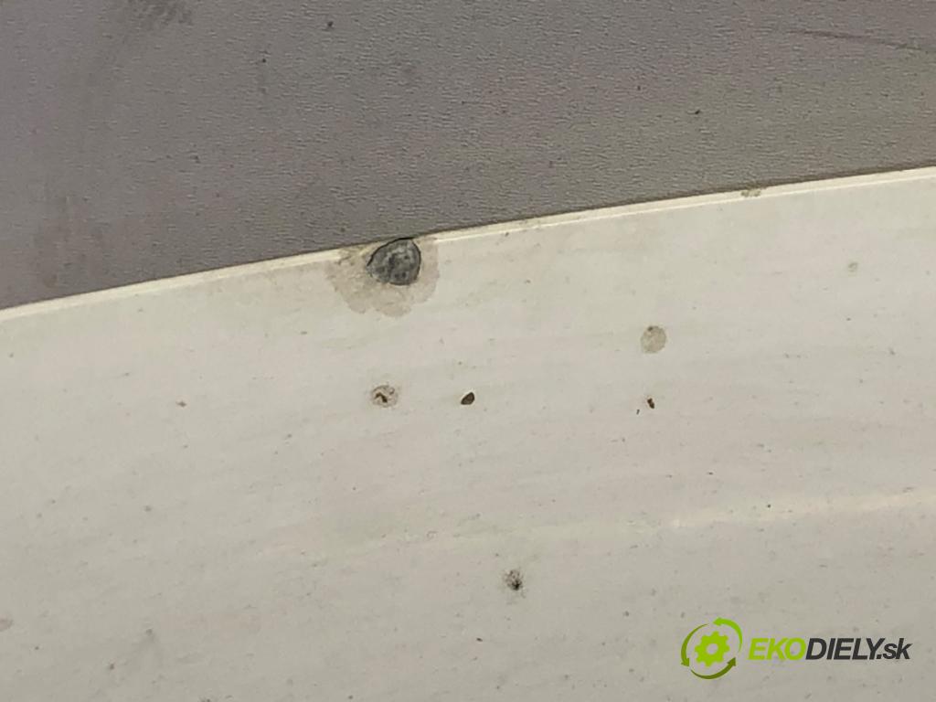 FIAT SCUDO Autobus (270_, 272_) 2007 - 2022    2.0 D Multijet 88 kW [120 KM] olej napędowy 2007 - 2022  kapota  (Kapoty)