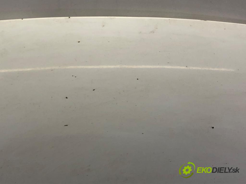 FIAT SCUDO Autobus (270_, 272_) 2007 - 2022    2.0 D Multijet 88 kW [120 KM] olej napędowy 2007 - 2022  kapota  (Kapoty)