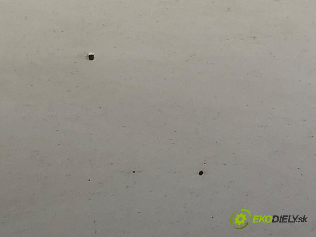 FIAT SCUDO Autobus (270_, 272_) 2007 - 2022    2.0 D Multijet 88 kW [120 KM] olej napędowy 2007 - 2022  kapota  (Kapoty)