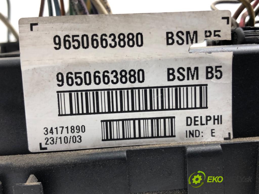 PEUGEOT 307 (3A/C) 2000 - 2012    1.6 HDi 110 80 kW [109 KM] olej napędowy 2004 - 2009  Modul BSM 9650663880 (Ostatné)