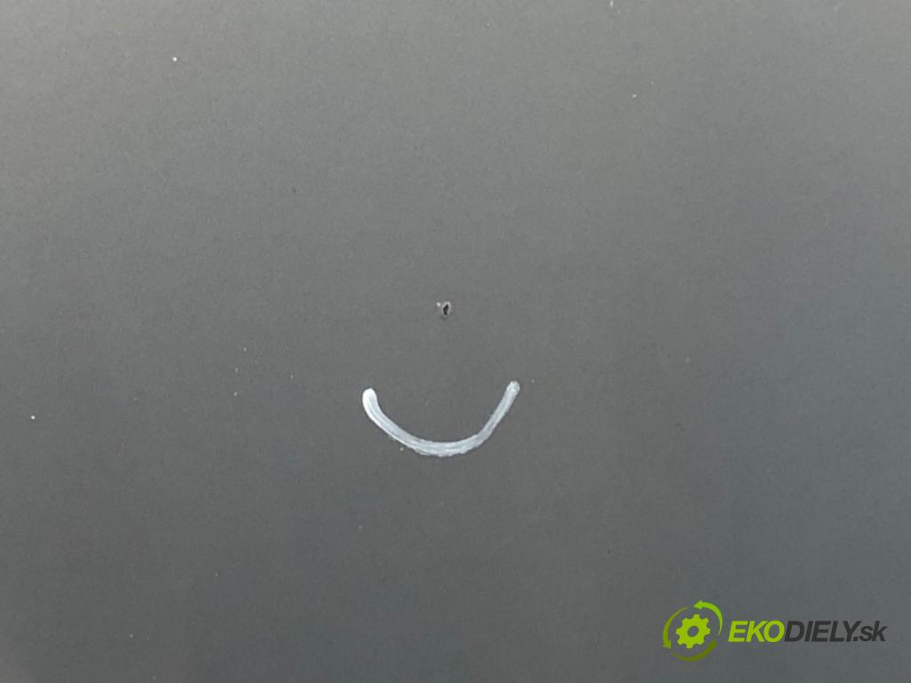 RENAULT MEGANE II (BM0/1_, CM0/1_) 2001 - 2012    1.9 dCi (BM0G, CM0G) 88 kW [120 KM] olej napędowy 2002 - 2008  kapota  (Kapoty)