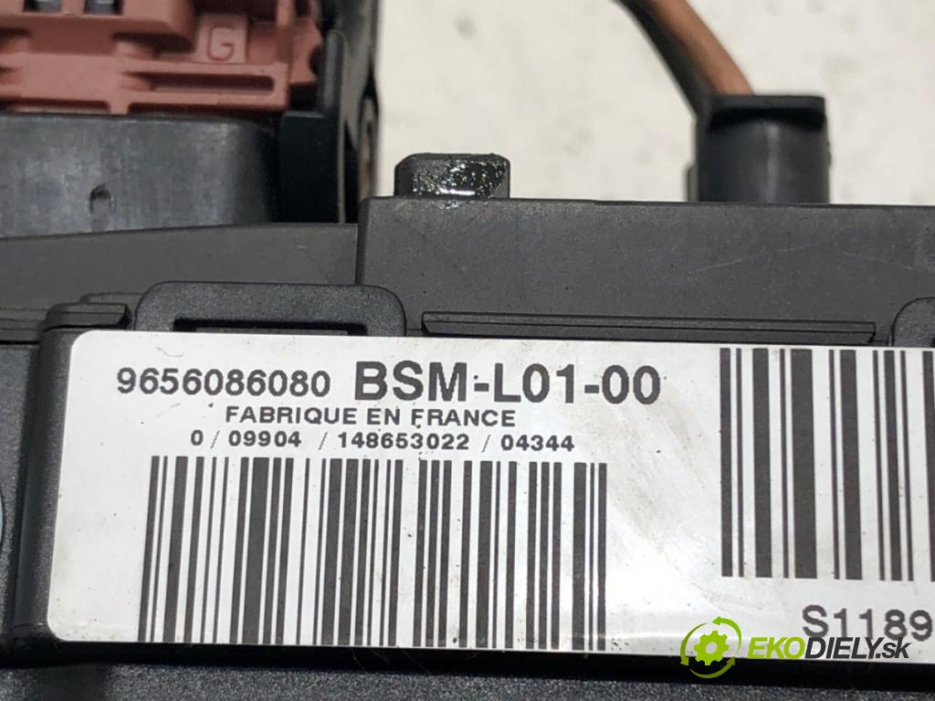 PEUGEOT 407 (6D_) 2004 - 2011    2.0 HDi 135 (6DRHRH, 6DRHRE, 6DRHRG, 6DRHRJ) 100 kW [136 KM] olej napędowy 2004 - 2010  Modul BSM 9656086080 (Ostatné)