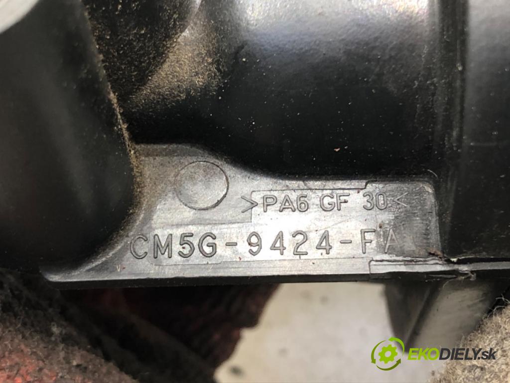 FORD FIESTA VI (CB1, CCN) 2008 - 2022    1.0 EcoBoost 74 kW [100 KM] benzyna 2013 - 2022  Potrubie sacie, sanie CM5G-9424-FA (Sacie potrubia)