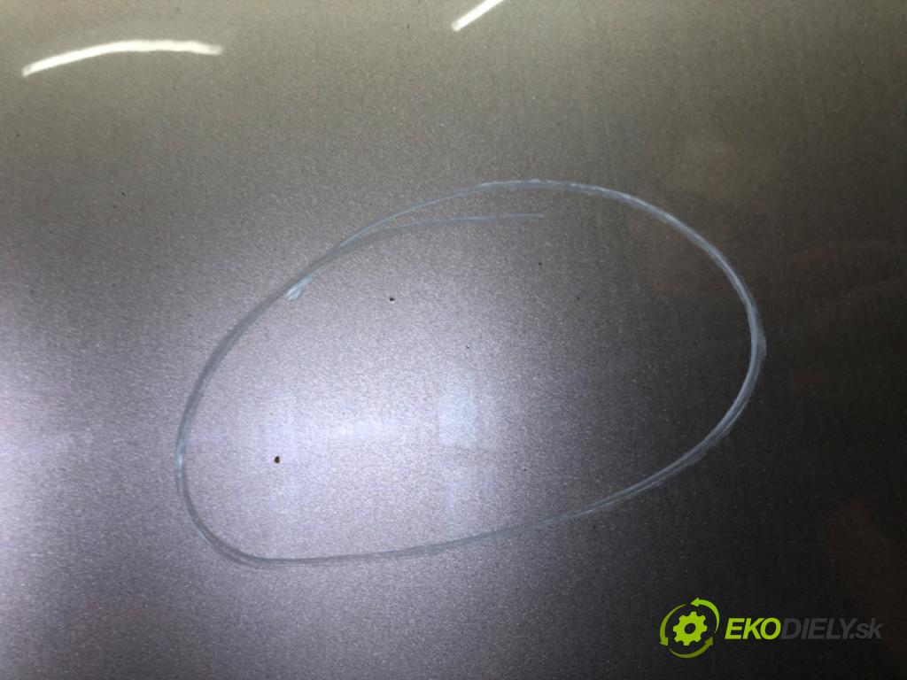 NISSAN QASHQAI / QASHQAI +2 I (J10, NJ10, JJ10E) 2006 - 2014    2.0 dCi 110 kW [150 KM] olej napędowy 2007 - 2013  kapota  (Kapoty)