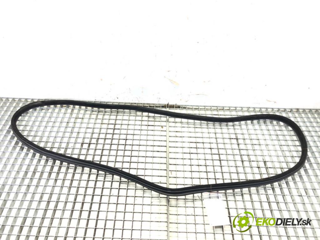 BMW 5 (F10) 2009 - 2016    520 d xDrive 135 kW [184 KM] olej napędowy 2013 - 2014  těsnění dveře zadní část levá strana  (Ostatní)