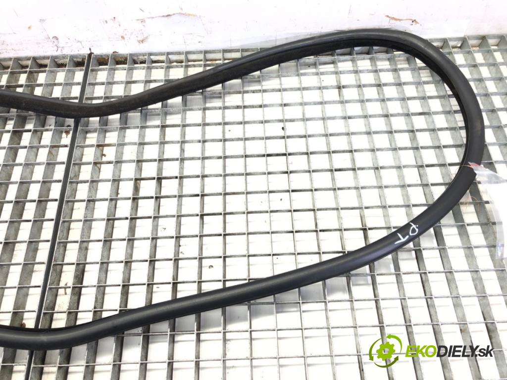 BMW 5 (F10) 2009 - 2016    520 d xDrive 135 kW [184 KM] olej napędowy 2013 - 2014  těsnění dveře zadní část pravá  (Ostatní)