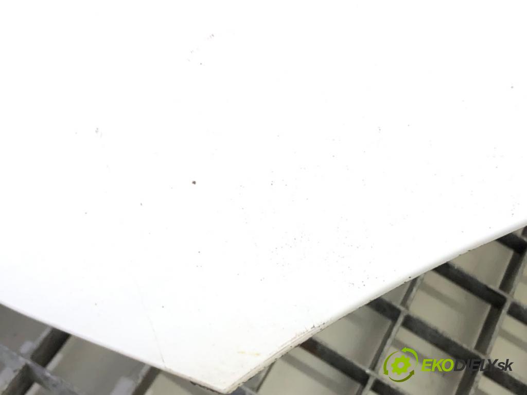 RENAULT KANGOO / GRAND KANGOO II (KW0/1_) 2008 - 2022    1.5 dCi 85 (KW0K, KW0L, KW0B) 63 kW [86 KM] olej napędowy 2008 - 2022  blatník levý přední část