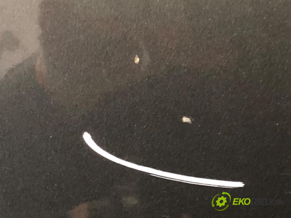 SEAT EXEO sedan 2011 125 kW 2.0 TDI 1968 Dvere ľavy predný