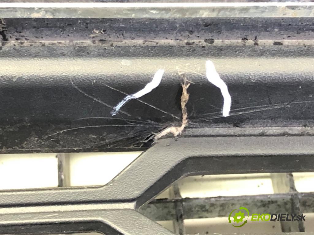 FORD ECOSPORT 2011 - 2022    1.0 EcoBoost 92 kW [125 KM] benzyna 2013 - 2022  mřížka maska GN15-17B968-EW (Mřížky (masky) chladičů)