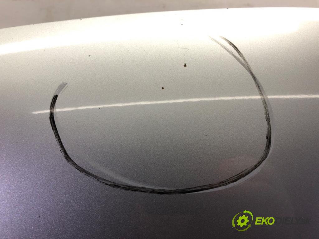 VW POLO (9N_, 9A_) 2001 - 2014    1.4 16V 55 kW [75 KM] benzyna 2001 - 2008  kapota  (Kapoty)