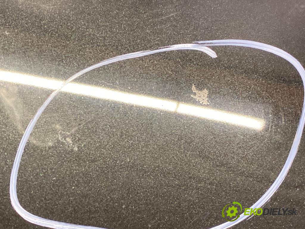 BMW X3 (E83) 2003 - 2011    2.0 sd 130 kW [177 KM] olej napędowy 2007 - 2008  kapota  (Kapoty)