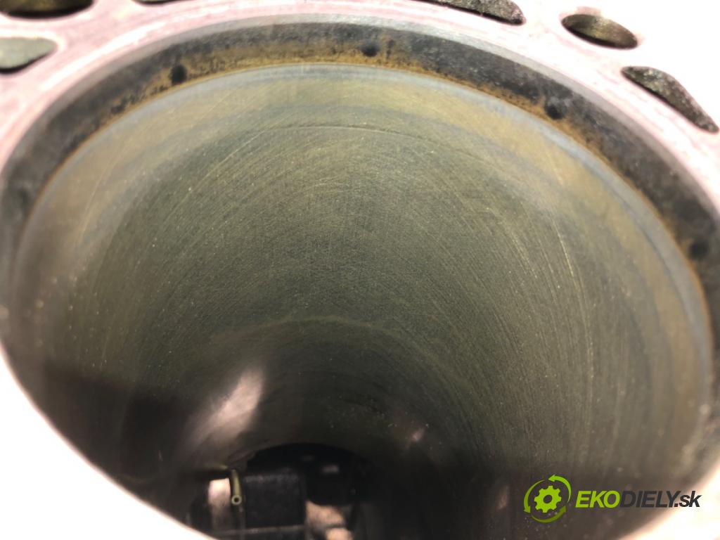 AUDI A4 B8 Avant (8K5) 2007 - 2015    2.0 TDI 105 kW [143 KM] olej napędowy 2008 - 2015  blok Motor 03L021A (Blok motora)