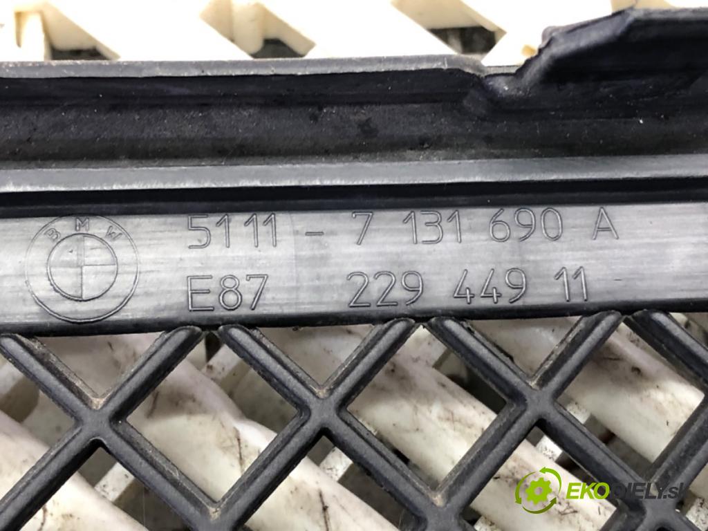 BMW 1 (E87) 2003 - 2013    116 i 85 kW [115 KM] benzyna 2004 - 2011  mří nárazníka přední část 7131690 (Mřížky (masky) chladičů)