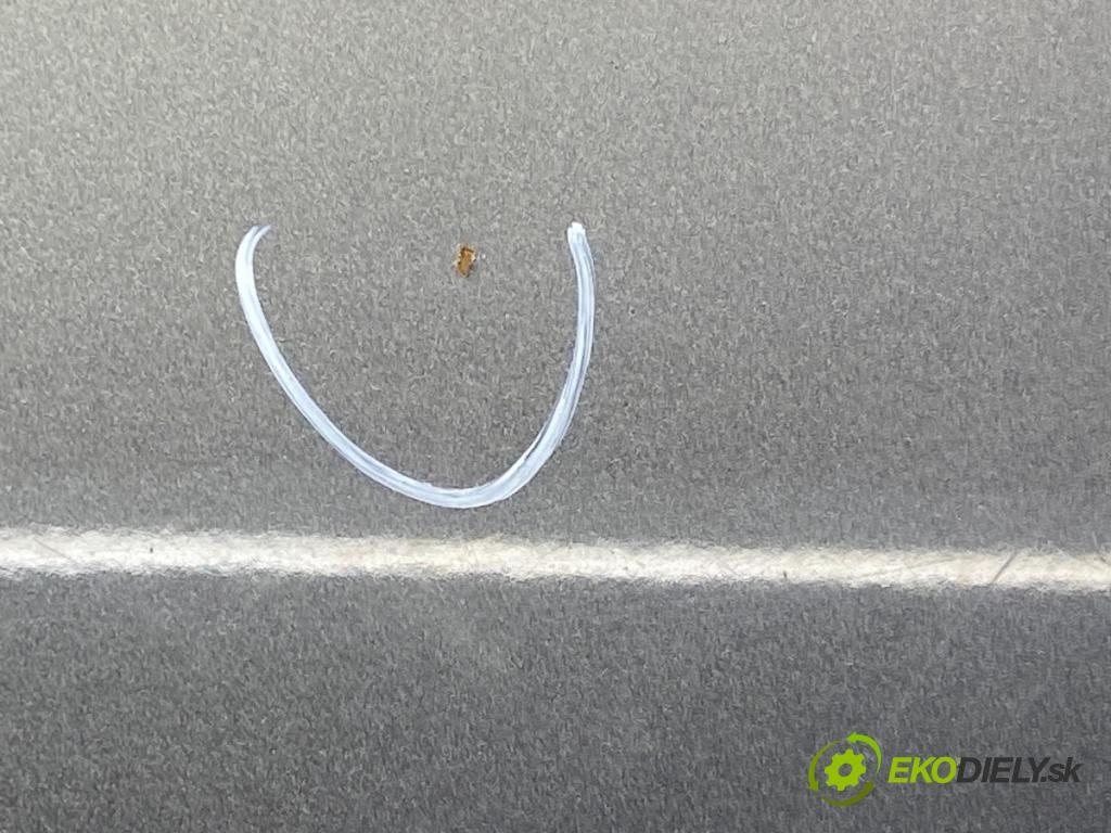 VW PASSAT B6 Variant (3C5) 2005 - 2011    1.9 TDI 77 kW [105 KM] olej napędowy 2005 - 2010  kapota  (Kapoty)