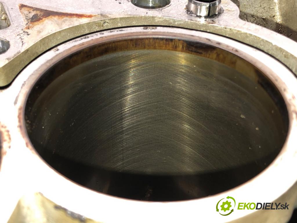 CITROEN C4 CACTUS 2014 - 2022    1.2 THP 110 81 kW [110 KM] benzyna 2014 - 2022  blok Motor HNZ HN01 (Blok motora)