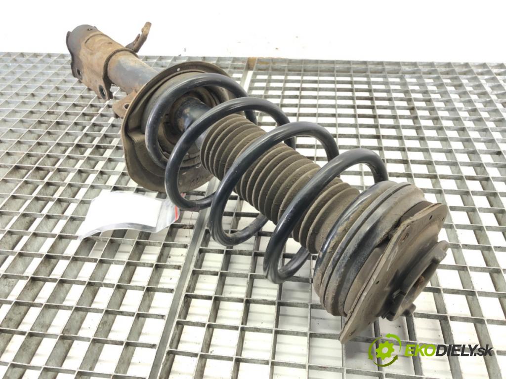 NISSAN QASHQAI / QASHQAI +2 I (J10, NJ10, JJ10E) 2006 - 2014    2.0 104 kW [141 KM] benzyna 2007 - 2013  Tlmič pravy predný ZE