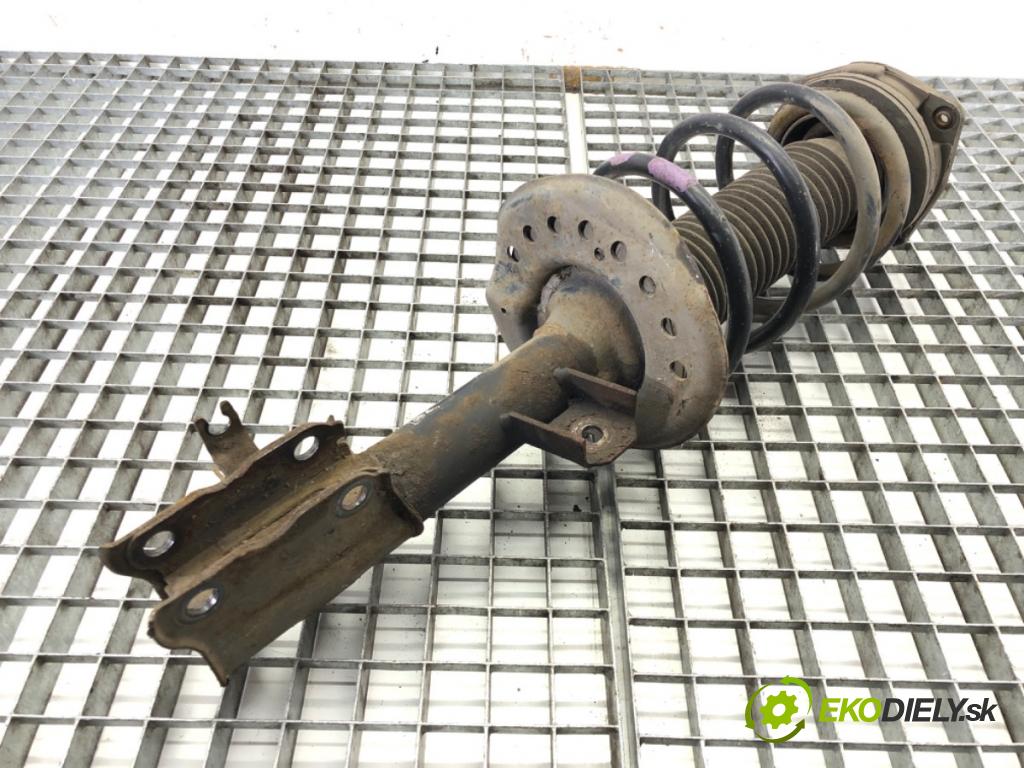NISSAN QASHQAI / QASHQAI +2 I (J10, NJ10, JJ10E) 2006 - 2014    2.0 104 kW [141 KM] benzyna 2007 - 2013  Tlmič ľavy predný ZE