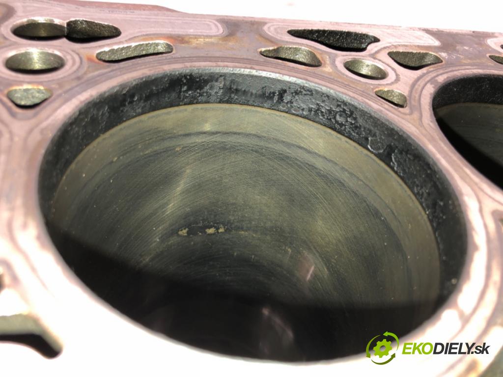 SEAT LEON (5F1) 2012 - 2022    1.6 TDI 77 kW [105 KM] olej napędowy 2012 - 2022  blok Motor 04L023A (Blok motora)