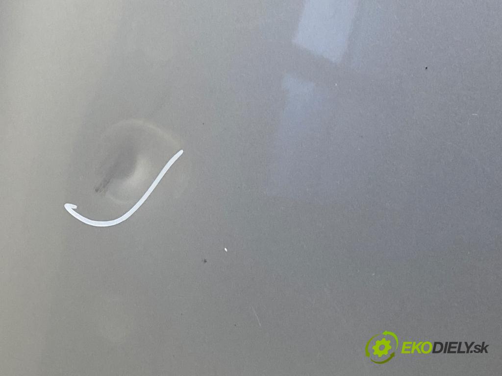 VW POLO (9N_, 9A_) 2001 - 2014    1.2 12V 47 kW [64 KM] benzyna 2001 - 2007  kapota  (Kapoty)