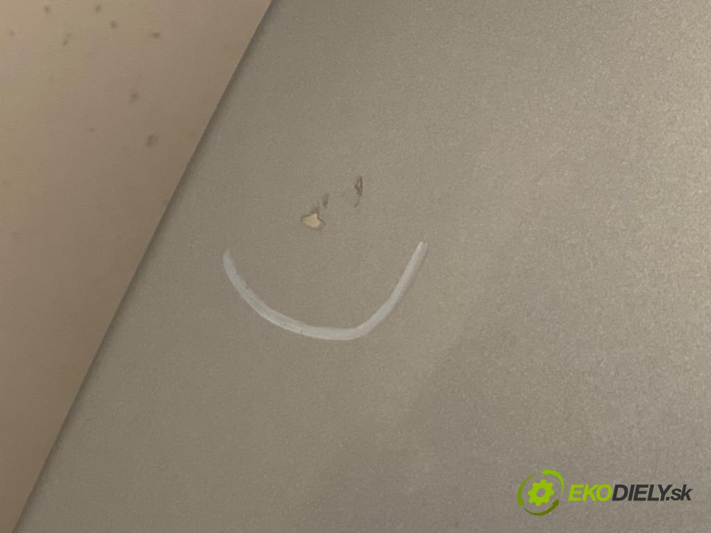 CITROEN C4 I (LC_) 2004 - 2014    1.6 HDi 80 kW [109 KM] olej napędowy 2004 - 2011  kapota  (Kapoty)