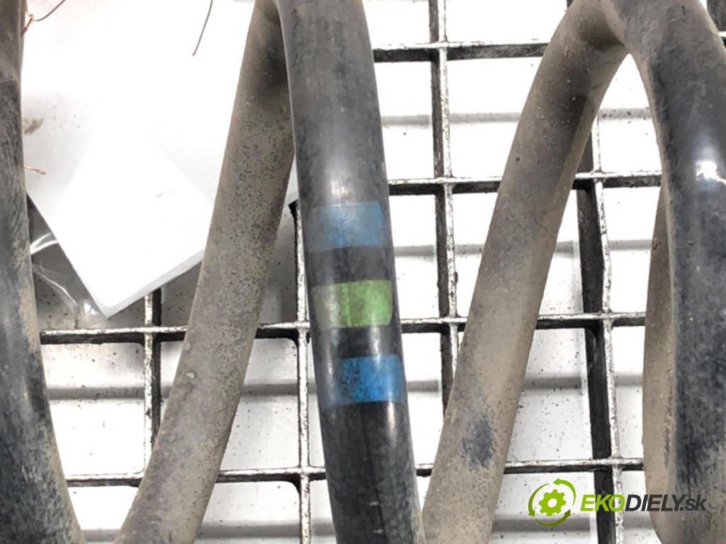BMW X6 (E71, E72) 2007 - 2014    xDrive 35 i 225 kW [306 KM] benzyna 2008 - 2014  Pružina zad  (Ostatné)