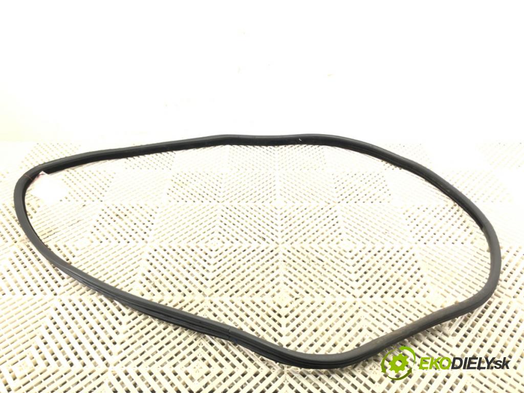 BMW X6 (E71, E72) 2007 - 2014    xDrive 35 i 225 kW [306 KM] benzyna 2008 - 2014  těsnění dveře zadní část levá strana  (Ostatní)