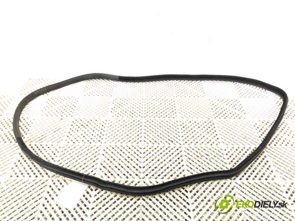 BMW X6 (E71, E72) 2007 - 2014    xDrive 35 i 225 kW [306 KM] benzyna 2008 - 2014  těsnění dveře zadní část pravá  (Ostatní)