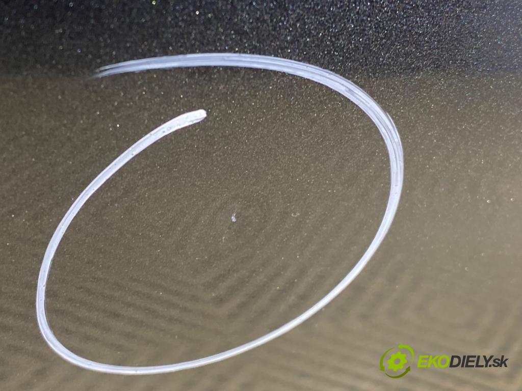 MERCEDES-BENZ W204 sedan 2013 125 kW C 220 CDI (204.002) 2143 Dvere ľavy zad