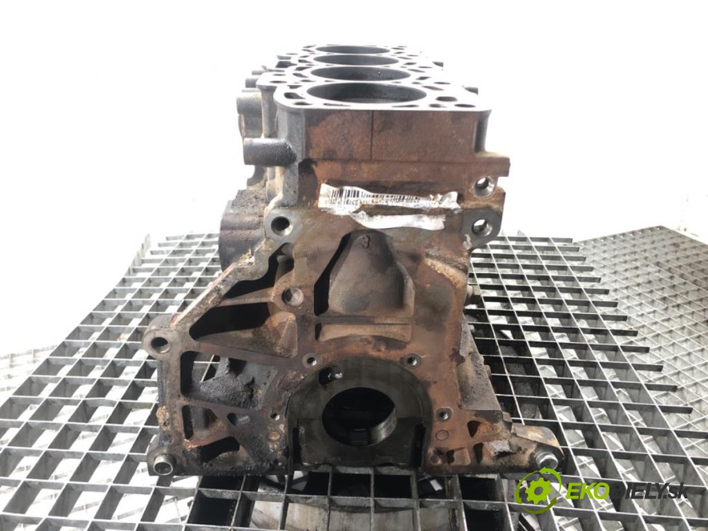 SKODA SUPERB II Kombi (3T5) 2009 - 2015    2.0 TDI 125 kW [170 KM] olej napędowy 2009 - 2015  blok Motor CFG (Blok motora)