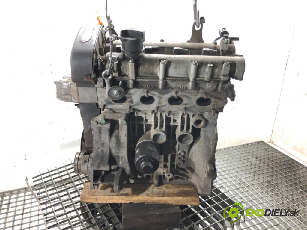 VW GOLF IV (1J1) 1997 - 2008    1.4 16V 55 kW [75 KM] benzyna 1997 - 2004  motor AKQ (Motory (kompletní))