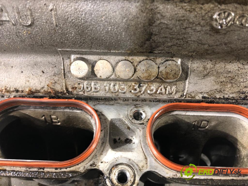 AUDI A4 B6 Avant (8E5) 2000 - 2005    2.0 96 kW [130 KM] benzyna 2001 - 2004  Hlava valcov ALT (Hlavy valcov)