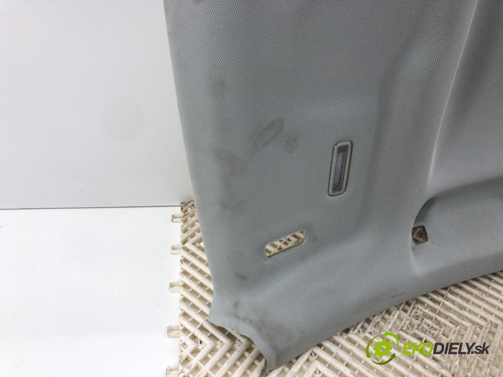 AUDI A8 D5 (4N2, 4N8) 2017 - 2022    60 TFSI Mild Hybrid quattro 338 kW [460 KM] Hybryda silnik benzynowy / elektryczny 2018 - 2022  Stropný tapacír  (Stropné tapacíre)