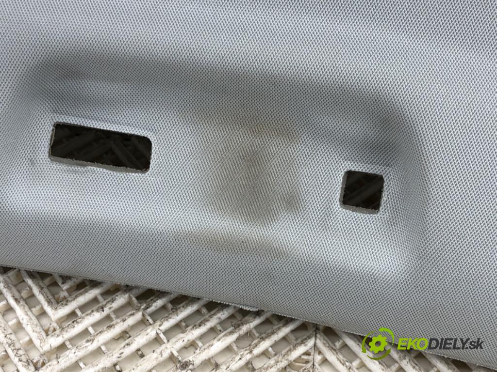 AUDI A8 D5 (4N2, 4N8) 2017 - 2022    60 TFSI Mild Hybrid quattro 338 kW [460 KM] Hybryda silnik benzynowy / elektryczny 2018 - 2022  Stropný tapacír  (Stropné tapacíre)