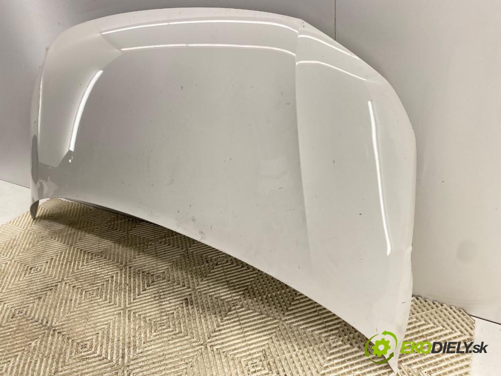 VW TRANSPORTER / CARAVELLE VI Autobus (SGB, SGJ, SHB, SHJ) 2015 - 2022    2.0 TDI 110 kW [150 KM] olej napędowy 2015 - 2022  kapota  (Kapoty)