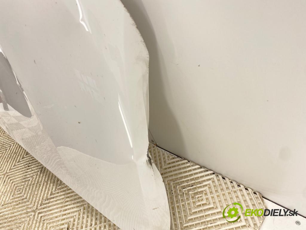 VW TRANSPORTER / CARAVELLE VI Autobus (SGB, SGJ, SHB, SHJ) 2015 - 2022    2.0 TDI 110 kW [150 KM] olej napędowy 2015 - 2022  kapota  (Kapoty)