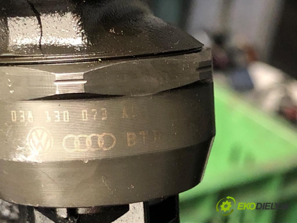 AUDI A3 (8L1) 1996 - 2006    1.9 TDI 96 kW [130 KM] olej napędowy 2000 - 2003  Vstrekovač 038130073AL (Vstrekovače)