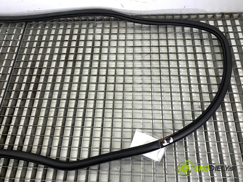 VW TIGUAN ALLSPACE (BW2, BJ2) 2017 - 2022    2.0 TSI 4motion 140 kW [190 KM] benzyna 2018 - 2022  tesnenie Dvere zad pravá  (Ostatné)