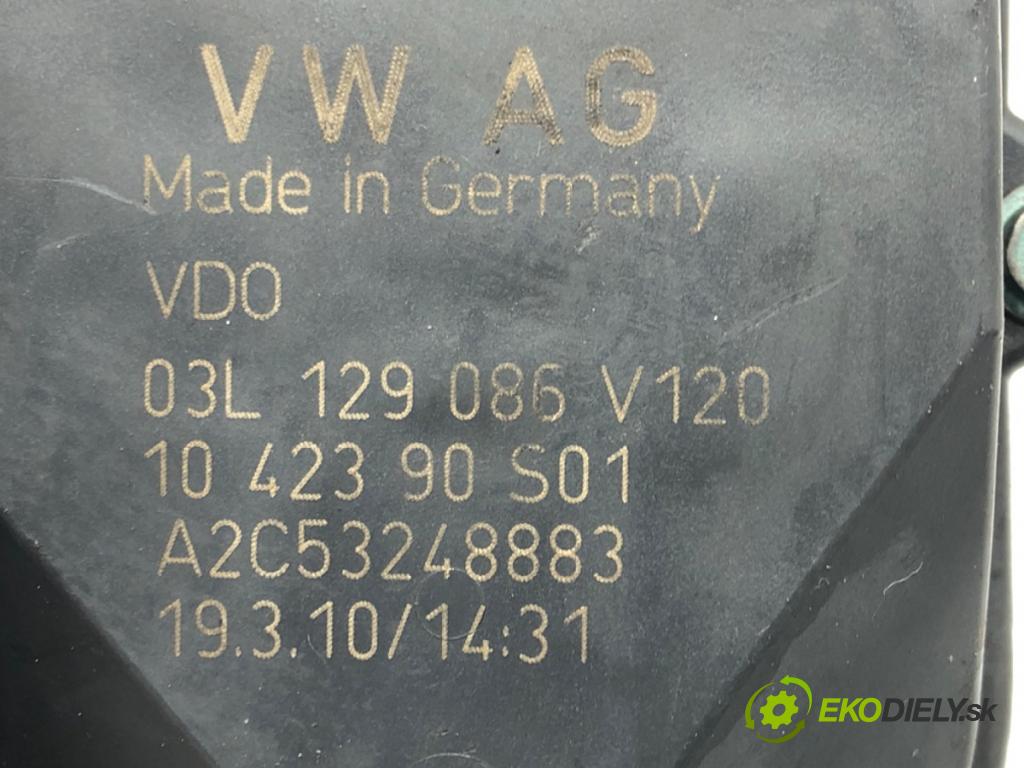 AUDI A4 B8 Avant (8K5) 2007 - 2015    2.0 TDI 125 kW [170 KM] olej napędowy 2008 - 2012  Nastavovač zvod, potrubie 03L129086 (Ostatné)