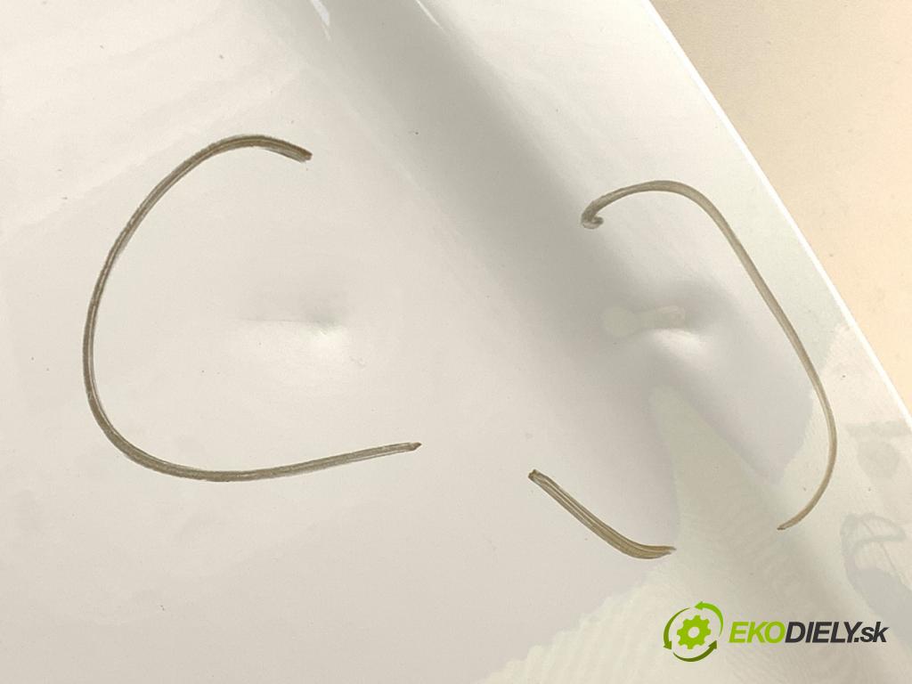 OPEL MOVANO B Autobus (X62) 2010 - 2022    2.3 CDTI FWD (JV) 92 kW [125 KM] olej napędowy 2010 - 2022  kapota  (Kapoty)