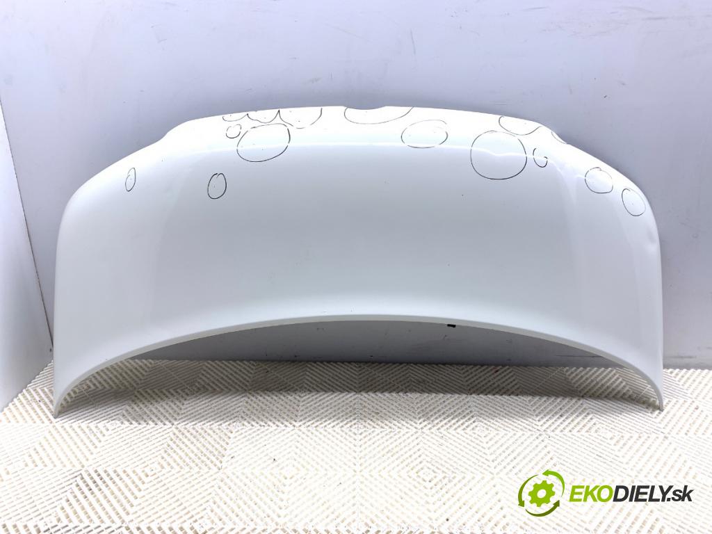 VW TRANSPORTER V Autobus (7HB, 7HJ, 7EB, 7EJ) 2003 - 2015    1.9 TDI 77 kW [105 KM] olej napędowy 2003 - 2009  kapota  (Kapoty)