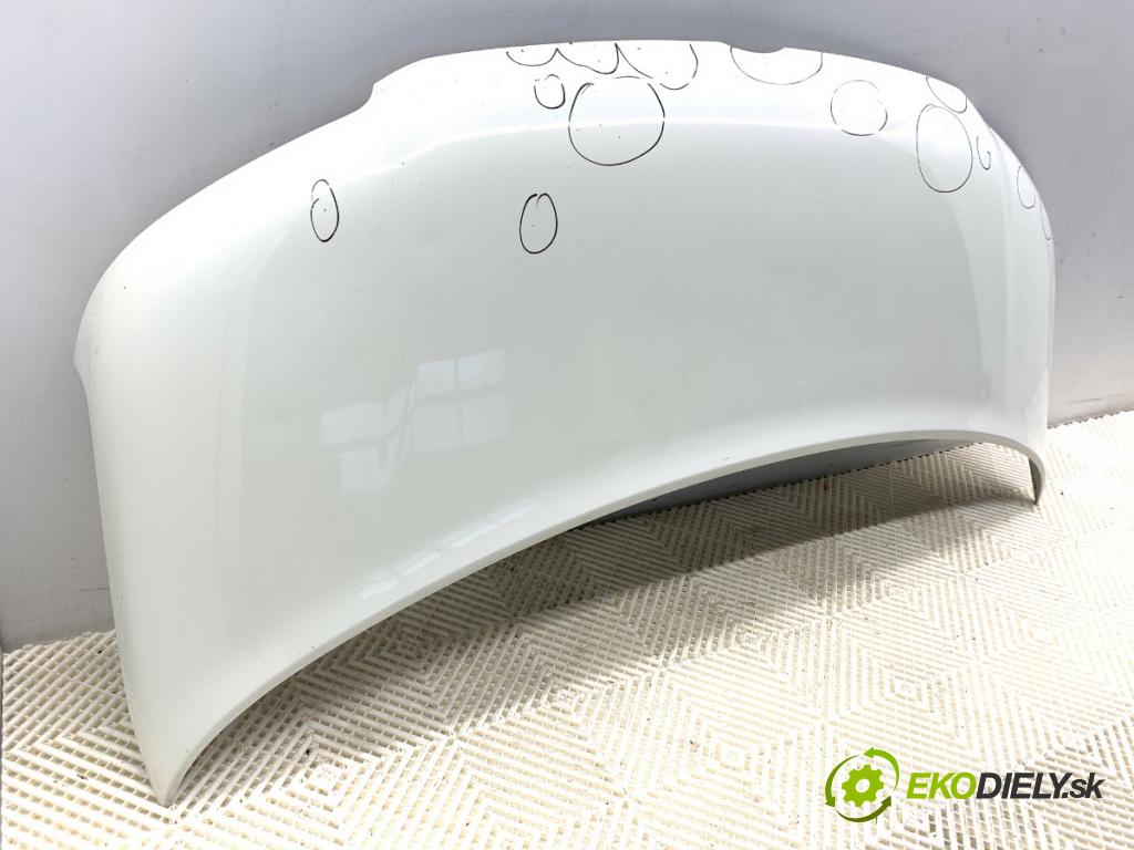 VW TRANSPORTER V Autobus (7HB, 7HJ, 7EB, 7EJ) 2003 - 2015    1.9 TDI 77 kW [105 KM] olej napędowy 2003 - 2009  kapota  (Kapoty)