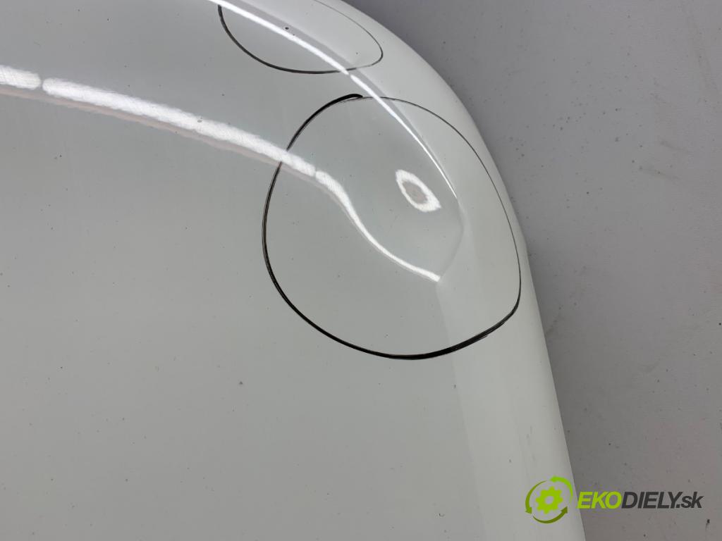 VW TRANSPORTER V Autobus (7HB, 7HJ, 7EB, 7EJ) 2003 - 2015    1.9 TDI 77 kW [105 KM] olej napędowy 2003 - 2009  kapota  (Kapoty)