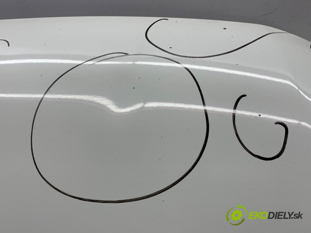 VW TRANSPORTER V Autobus (7HB, 7HJ, 7EB, 7EJ) 2003 - 2015    1.9 TDI 77 kW [105 KM] olej napędowy 2003 - 2009  kapota  (Kapoty)