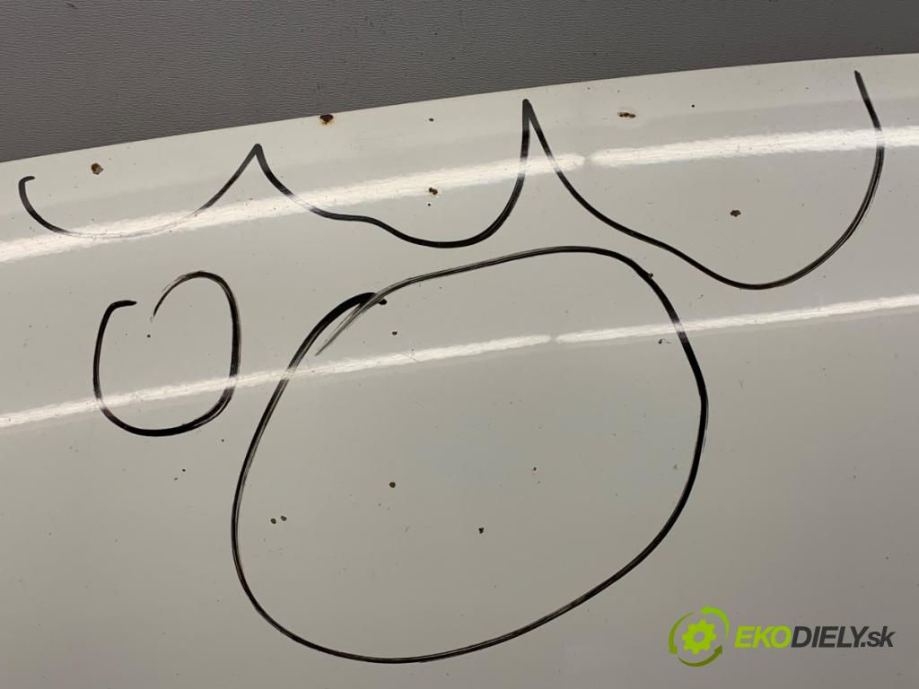 VW TRANSPORTER V Autobus (7HB, 7HJ, 7EB, 7EJ) 2003 - 2015    1.9 TDI 77 kW [105 KM] olej napędowy 2003 - 2009  kapota  (Kapoty)