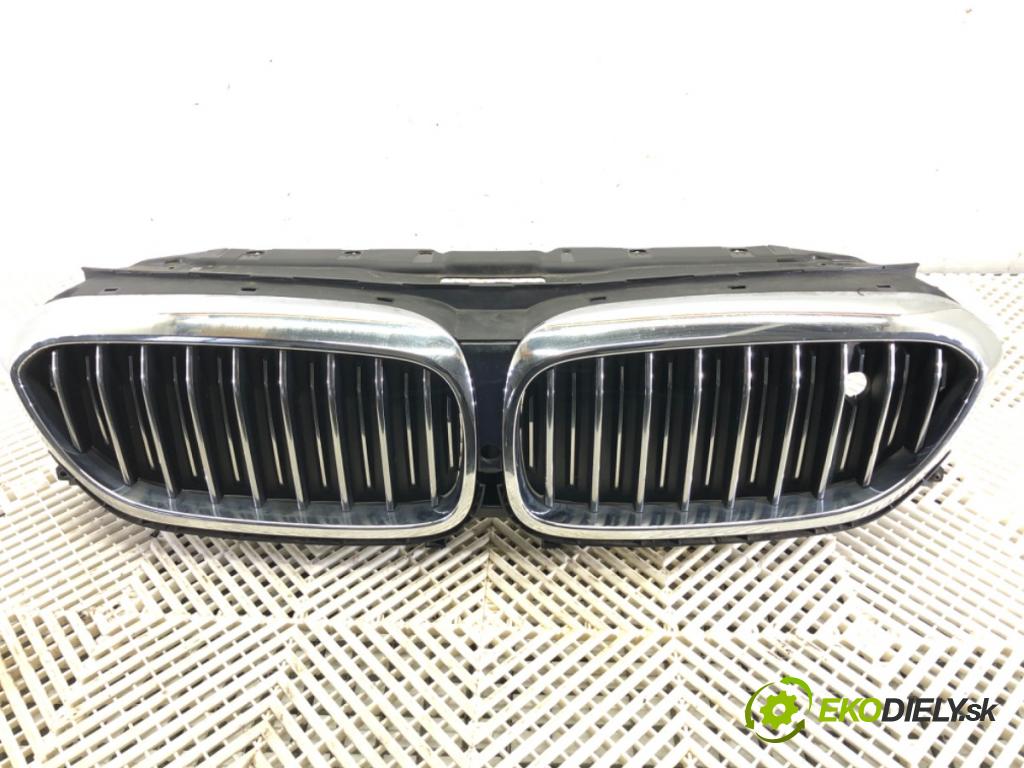 BMW 5 (G30, F90) 2016 - 2022    540 d xDrive 235 kW [320 KM] olej napędowy 2017 - 2020  mřížka maska  (Mřížky (masky) chladičů)