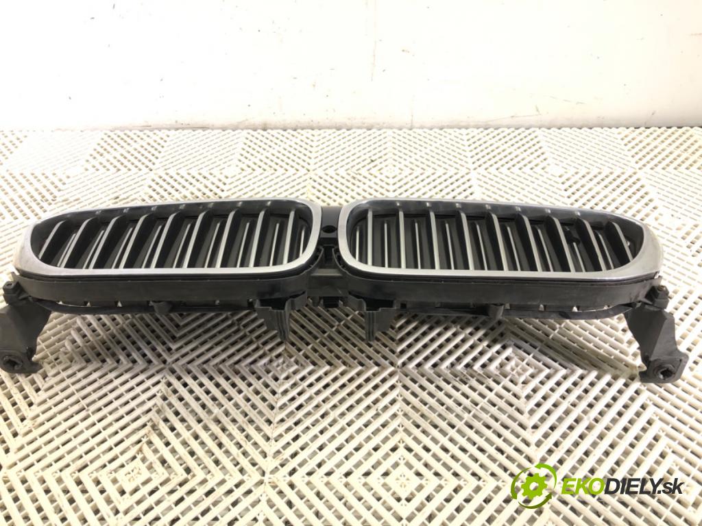BMW 5 (G30, F90) 2016 - 2022    540 d xDrive 235 kW [320 KM] olej napędowy 2017 - 2020  mřížka maska  (Mřížky (masky) chladičů)