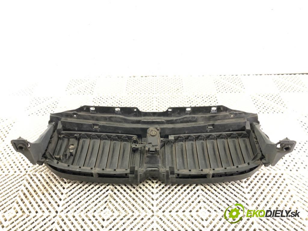 BMW 5 (G30, F90) 2016 - 2022    540 d xDrive 235 kW [320 KM] olej napędowy 2017 - 2020  mřížka maska  (Mřížky (masky) chladičů)