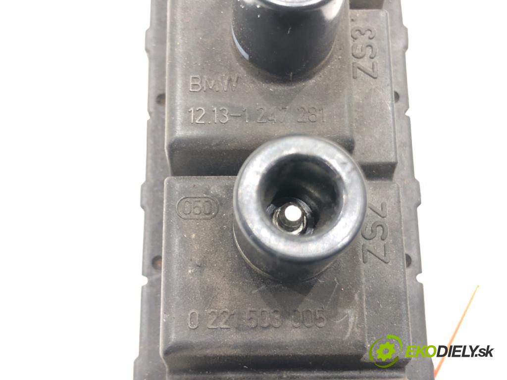 BMW 3 (E46) 1997 - 2005    318 i 87 kW [118 KM] benzyna 1997 - 2001  Cievka zapaľovacia 1247281 (Zapaľovacie cievky, moduly)