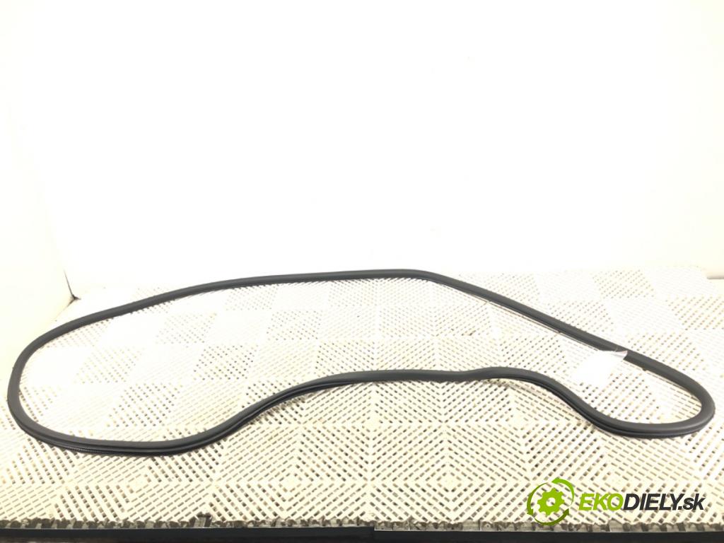 CHRYSLER PACIFICA 2016 - 2022    3.6 214 kW [291 KM] benzyna 2016 - 2022  těsnění dveře zadní část levá strana  (Ostatní)