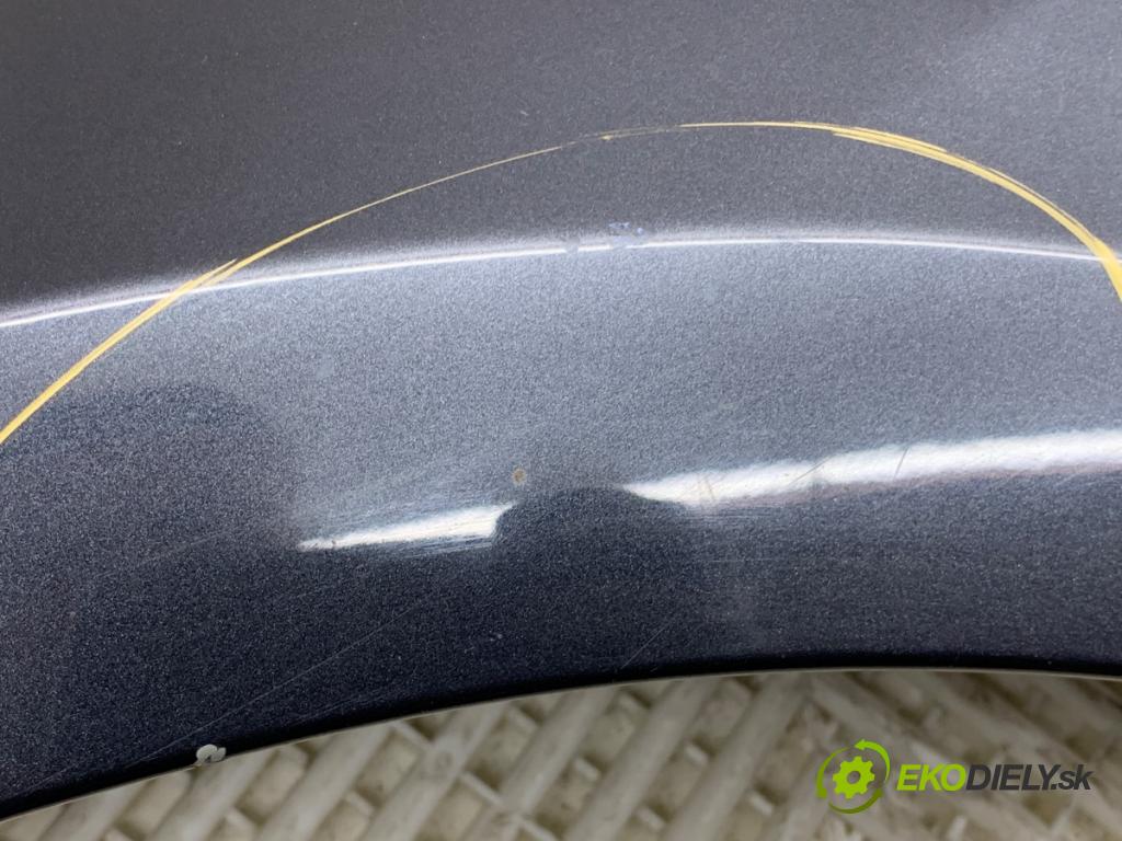 RENAULT LAGUNA III (BT0/1) 2007 - 2015    2.0 dCi (BT07, BT0J, BT14, BT1A, BT1S) 96 kW [131 KM] olej napędowy 2007 - 2015  blatník levý přední část